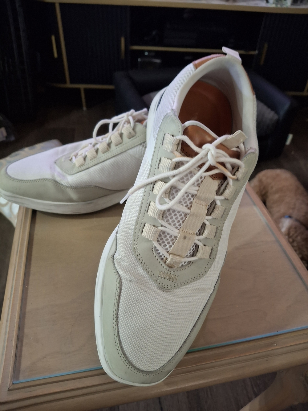 Men's Wolf And Shepherd in Off-White and Light Beige